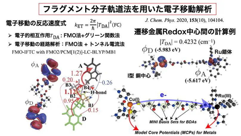 蛋白質中の電子トンネル移動経路解析